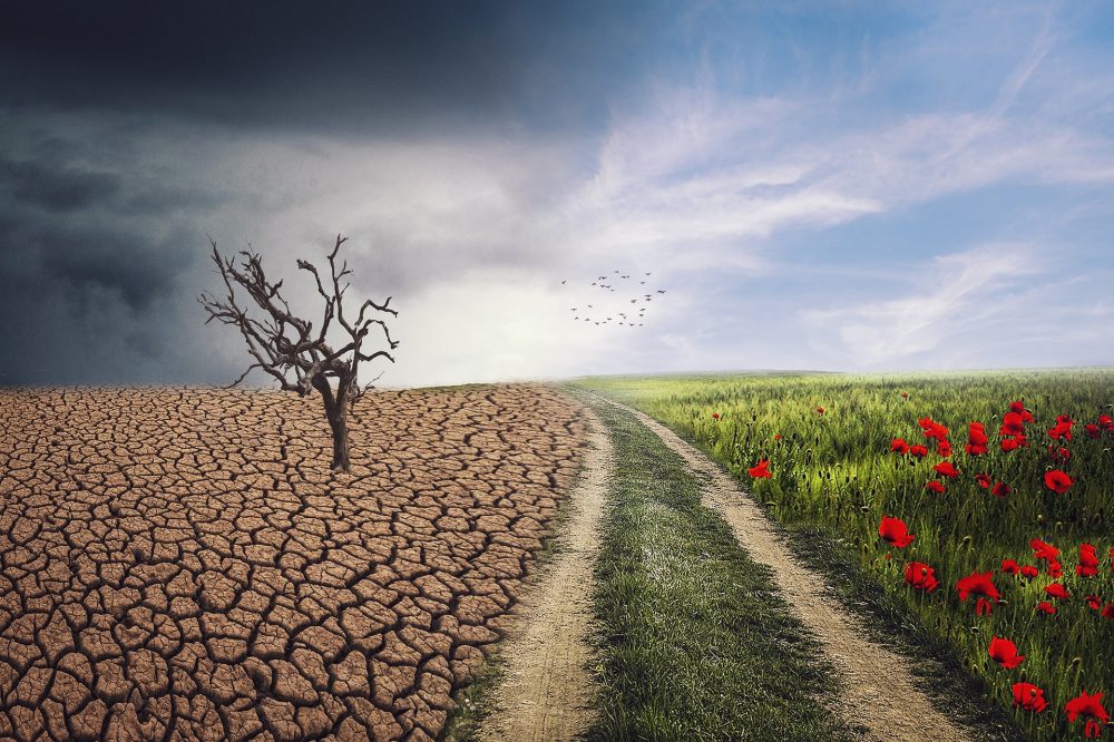 Singapore developing its own ‘crystal ball’ for better climate projections