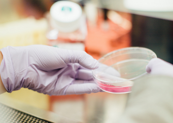 Accelerating research to curb the spread of metastatic cancers