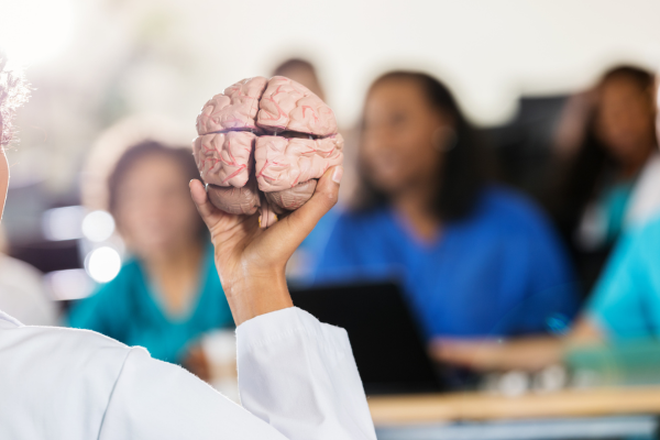 Gaining Deeper Insights into Mental Disorders through Brain Imaging and High-Performance Computing